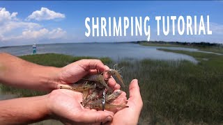 Shrimping How To Catch Shrimp From Shore With A Cast Net  Shrimping Tutorial Guide  SFSC [upl. by Sawyere]