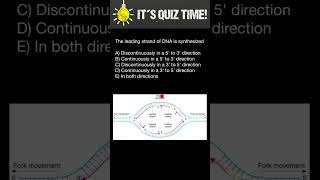 DNA replication Leading and Lagging strands [upl. by Aneeh]