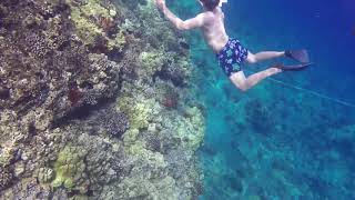 Snorkeling Molokini Crater [upl. by Teerpnam]