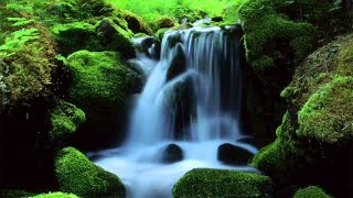 MOUNTAIN STREAM Nature Sounds 10 Hours Relax Meditate Sleep [upl. by Birmingham]