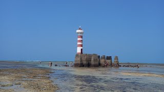 PARTE 2 caminhando pela praia de MACEIÓ NOS CORAIS são animais cnidários da classe Anthozoa [upl. by Pirri753]