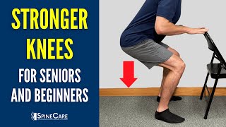 Easy Knee Strengthening Exercises for Seniors and Beginners [upl. by Ahsienor632]