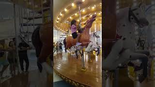 Carousel with Chitlins shorts moa [upl. by Gassman]