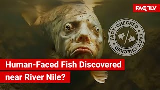 FACT CHECK Viral Video Shows HumanFaced Fish Discovered in Lake Samsara near River Nile [upl. by Kcirdef]