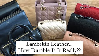 ALL OF MY LAMBSKIN HANDBAGS Please Don’t Be Afraid 😉 👻 😂 [upl. by Ahsinned21]