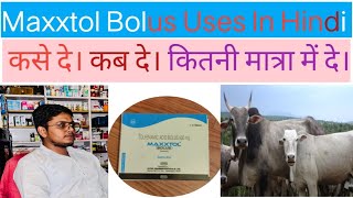 Maxxtol Bolus Uses in Hindi For Vetnery।। पशुओं में कब प्रयोग करे। ChemistRohitydv [upl. by Gavrielle]