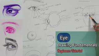 How to Draw Eyes For Beginners  Eye Drawing Fundamentals  Detailed Explanation [upl. by Gabrielli]