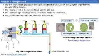 Milk Homogenization Process [upl. by Mccutcheon]