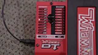 DigiTech Whammy DT Pitch Shifter Pedal  Digitech Whammy DT [upl. by Acireh]