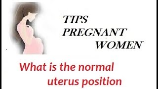 anteverted uterus definition [upl. by Pirnot393]