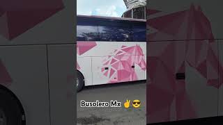 Texcoco 🟠🟡 FUCAM 🟠 bus viaje volvo shorts ado volvobus [upl. by Jobie]