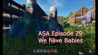 ASA Episode 29The Air Conditioners Worked and We Have Babies [upl. by Idnyc]