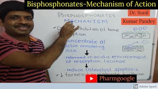 Bisphosphonates Pharmacology II Bisphosphonate Pharmacology II Bisphosphonate Mechanism of Action II [upl. by Dranoc283]