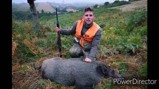 Tir sur sanglier quotTeam Bracquot chasse hunting boar hunter shoot [upl. by Sonitnatsok]