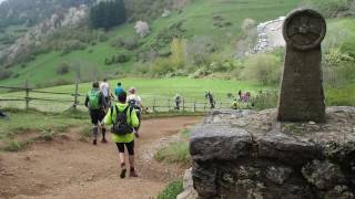 trail des citadelles 2017 [upl. by Longawa]