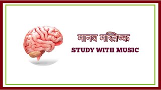 तंत्रिका तंत्र तथा तंत्रिका तंत्र के कार्य Nervous system and functions of the nervous system hb [upl. by Labina]