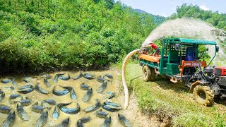 Use High Capacity Pump To Drain Fish Pond  Harvest And Use Truck Transport Many Fish Go To Sell [upl. by Tergram]