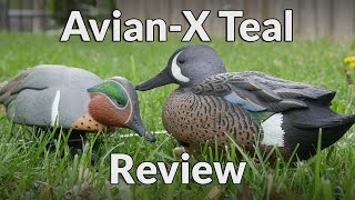 Avian X Teal Decoys Review [upl. by Nahtanaoj]