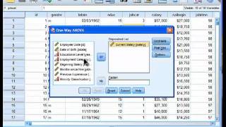 Oneway ANOVA  SPSS part 1 [upl. by Kalikow849]