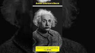 Albert Einsteins Brain science alberteinstein einstein albert superdupereducation [upl. by Annadiane]