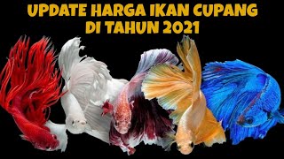 Update Daftar Harga Ikan Cupang Trend Terbaru 2021  Ikan Hias Air Tawar Yang Cocok Di Aquarium [upl. by Britteny]