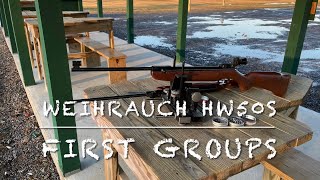 Weihrauch HW50S 177 break barrel pellet rifle first groups at 25 yards [upl. by Mcclish]