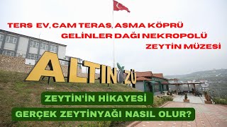 Hatayın yükselen yıldızı🌟🌟🌟 ALTINÖZÜ Ters ev Asma Köprü Cam Teras Nekropol Alanı Zeytin Müzesi [upl. by Emelin]