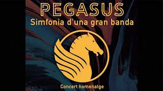 Pegasus  Simfonia duna gran banda BASSCAM FULL SHOW Bloc B [upl. by Voltmer]