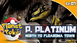 Pokemon Platinum Walkthrough Part 7 North to Floaroma Town [upl. by Eixor]