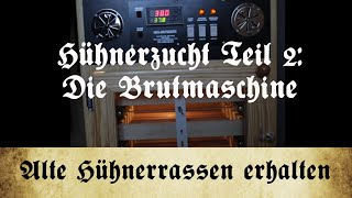 Zucht alter Hühnerrassen  Teil 2 Die Brutmaschine [upl. by Eldnek]