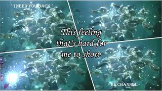 I NEED YOU BACK Lyrics  Raymond Lauchengco ▪ THAILAND ▪ BF CHANNEL [upl. by Voccola]