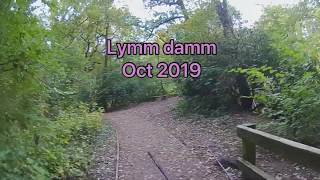 lure fishing for perch  pike on lymm dam [upl. by Jacobah]