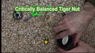 Critically Balanced Tiger Nut [upl. by Nnaycnan]