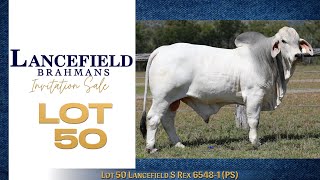 Lot 50 Lancefield S Rex 65481 PS [upl. by Nomzaj]