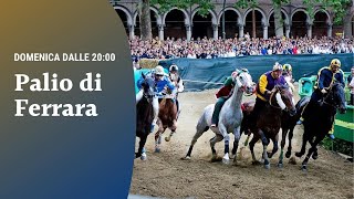 🔵 Palio di Ferrara 2024 [upl. by Jar]