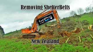 GoPro Removing Shelterbelts with Hitachi Ex150 amp Case IH cvx130 [upl. by Aissenav631]