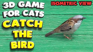 3D game for cats  CATCH THE BIRD isometric view  4K 60 fps stereo sound [upl. by Grefer]