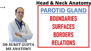 PAROTID GLAND Part1  Surfaces  Borders  Relations [upl. by Jsandye]