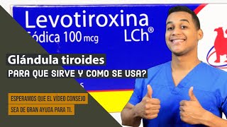 🔴 LEVOTIROXINA  PARA QUÉ SIRVE MECANISMO DE ACCIÓN EFECTOS SECUNDARIOS Y CONTRAINDICACIONES [upl. by Notgnilliw672]