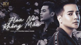 HOA NỞ KHÔNG MÀU  HOÀI LÂM  PHƯƠNG ĐẶNG COVER OFFICIAL MUSIC VIDEO [upl. by Bohner]