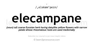 How to pronounce Elecampane  English pronunciation [upl. by Ecinerev34]