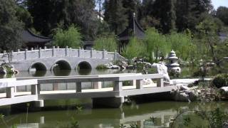 Huntington Library Part 4  Chinese Garden [upl. by Chaffin]