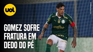 ROMERO COMETE FALTA DURA EM GUSTAVO GÓMEZ E É ADVERTIDO ASSISTA [upl. by Goran]