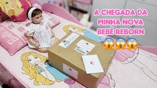 A CHEGADA DA MINHA NOVA BEBÊ REBORN  SURPRESA [upl. by Ettegroeg]