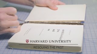 Harvard conservators repair books [upl. by Acirrej]