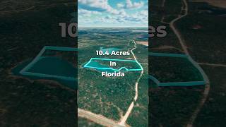 FLORIDA Land for Sale • 104 Acres with a SpringFed Pond • LANDIO [upl. by Ballman]