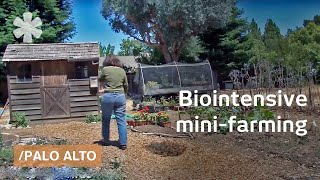 Biointensive minifarming grow more food in less space [upl. by Rolland548]