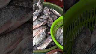 Dagupan City’s Magsaysay Fish Market  Biggest Seafood Market in Pangasinan Philippines [upl. by Levina]