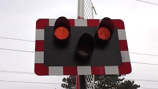 Level Crossing at Burrow Road Dublin [upl. by Hayashi]