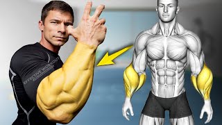 5 BEST Exercises for Bigger Forearms Workout [upl. by Nohsyt]